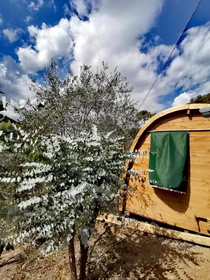 Tiny Cottage Casa Uccello 阿普里卡莱 外观 照片